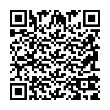 QR Code pour le numéro de téléphone +2698101981