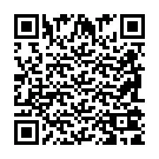 Codice QR per il numero di telefono +2698101991