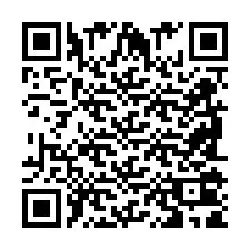 QR-code voor telefoonnummer +2698101999