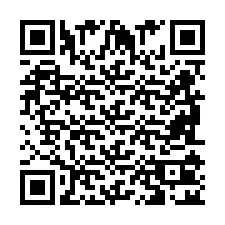 QR-код для номера телефона +2698102007