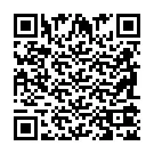 QR Code pour le numéro de téléphone +2698102581