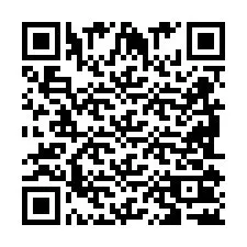 QR Code pour le numéro de téléphone +2698102736