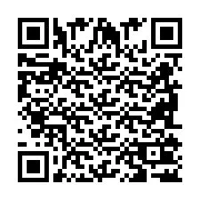 QR-Code für Telefonnummer +2698102763