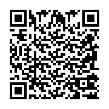 QR-код для номера телефона +2698102784