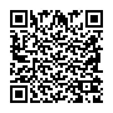 QR Code pour le numéro de téléphone +2698102828