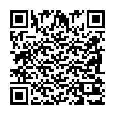 QR-код для номера телефона +2698103134