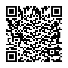 QR Code pour le numéro de téléphone +2698103184