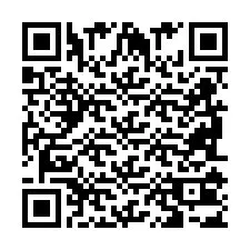 QR-code voor telefoonnummer +2698103513