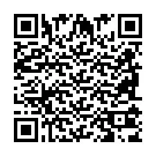 QR Code pour le numéro de téléphone +2698103803