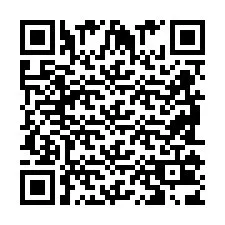 QR Code pour le numéro de téléphone +2698103859