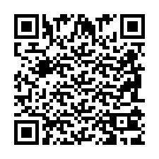 Codice QR per il numero di telefono +2698103900