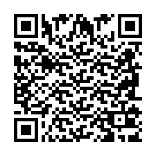 QR Code pour le numéro de téléphone +2698103958