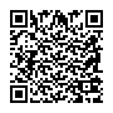 Codice QR per il numero di telefono +2698103991