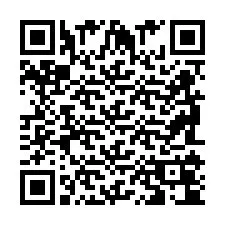 QR Code pour le numéro de téléphone +2698104041