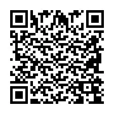 QR Code pour le numéro de téléphone +2698104063