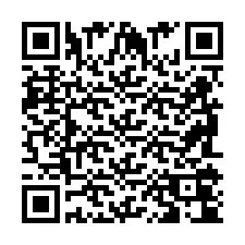 QR-код для номера телефона +2698104091