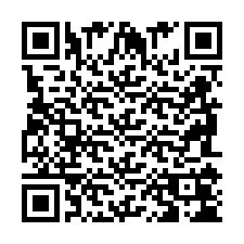 QR Code pour le numéro de téléphone +2698104240