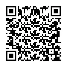 QR Code pour le numéro de téléphone +2698104250