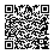 QR Code pour le numéro de téléphone +2698104304