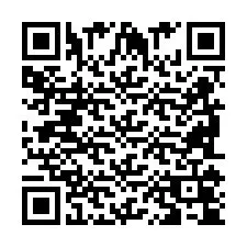 QR Code pour le numéro de téléphone +2698104553