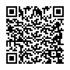 QR Code pour le numéro de téléphone +2698104576