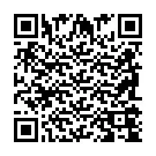 QR код за телефонен номер +2698104591