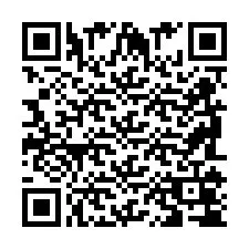 QR Code pour le numéro de téléphone +2698104751