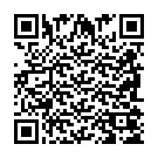 QR Code pour le numéro de téléphone +2698105234