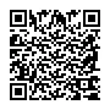 QR Code for Phone number +2698760719