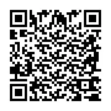 QR Code pour le numéro de téléphone +2698760722