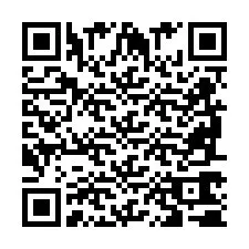 QR Code pour le numéro de téléphone +2698760783