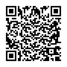 QR-Code für Telefonnummer +2698760902