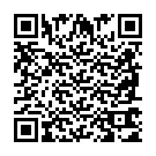 QR код за телефонен номер +2698761008