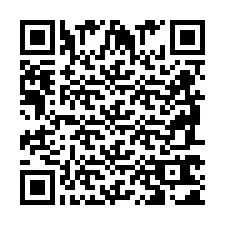 Codice QR per il numero di telefono +2698761040