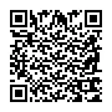 QR-code voor telefoonnummer +2698761045