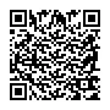 QR Code pour le numéro de téléphone +2698761061