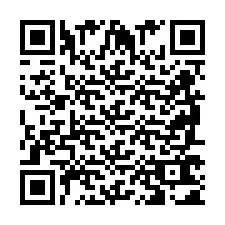 QR-Code für Telefonnummer +2698761064