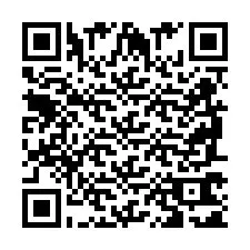 QR Code pour le numéro de téléphone +2698761114