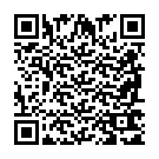 QR Code pour le numéro de téléphone +2698761165