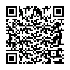 QR Code pour le numéro de téléphone +2698761305