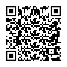 Codice QR per il numero di telefono +2698761317