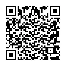 QR код за телефонен номер +2698761321