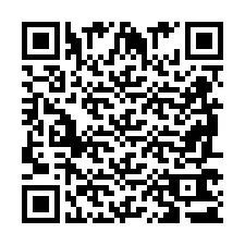 QR-Code für Telefonnummer +2698761325