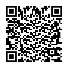 QR Code for Phone number +2698761744