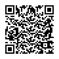 QR Code pour le numéro de téléphone +2698762095