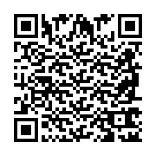 QR Code pour le numéro de téléphone +2698762149