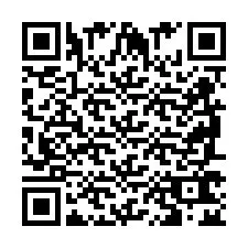 QR Code for Phone number +2698762464