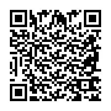 QR Code for Phone number +2698762533