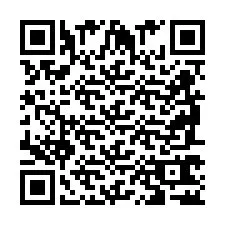 QR Code pour le numéro de téléphone +2698762744