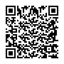 QR Code pour le numéro de téléphone +2698762746